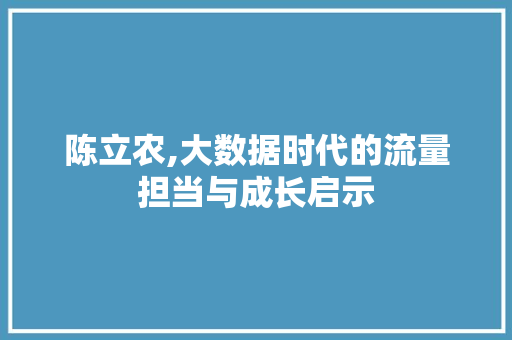陈立农,大数据时代的流量担当与成长启示