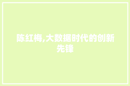 陈红梅,大数据时代的创新先锋