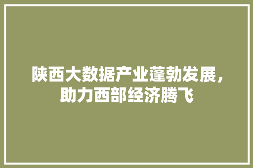 陕西大数据产业蓬勃发展，助力西部经济腾飞
