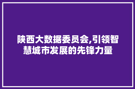 陕西大数据委员会,引领智慧城市发展的先锋力量