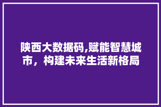 陕西大数据码,赋能智慧城市，构建未来生活新格局