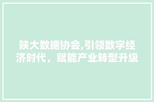 陕大数据协会,引领数字经济时代，赋能产业转型升级