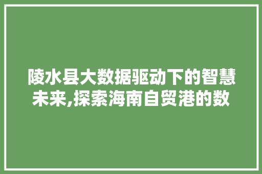 陵水县大数据驱动下的智慧未来,探索海南自贸港的数字化转型之路