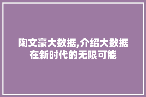 陶文豪大数据,介绍大数据在新时代的无限可能