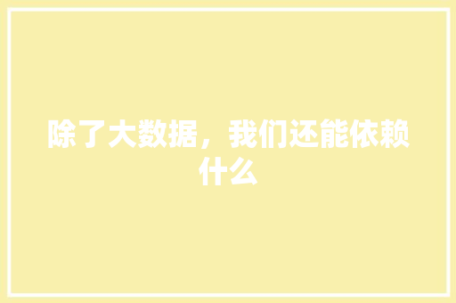 除了大数据，我们还能依赖什么