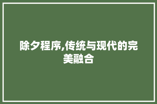 除夕程序,传统与现代的完美融合
