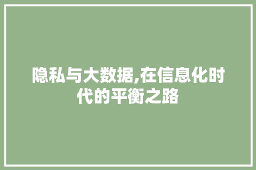 隐私与大数据,在信息化时代的平衡之路