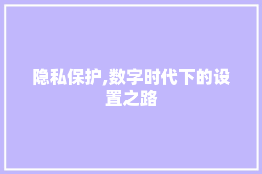 隐私保护,数字时代下的设置之路