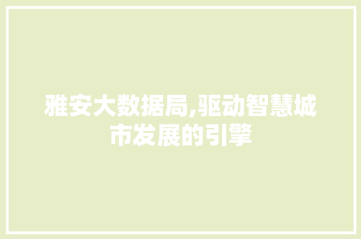 雅安大数据局,驱动智慧城市发展的引擎