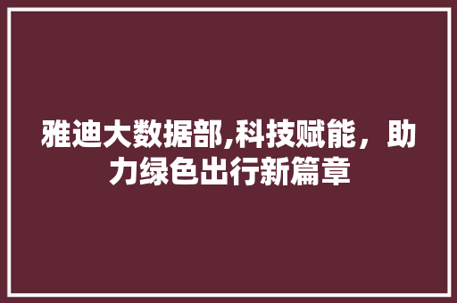 雅迪大数据部,科技赋能，助力绿色出行新篇章