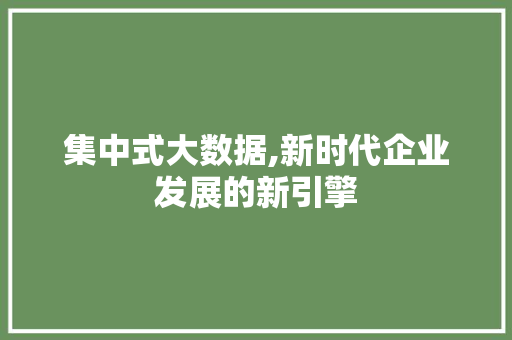 集中式大数据,新时代企业发展的新引擎