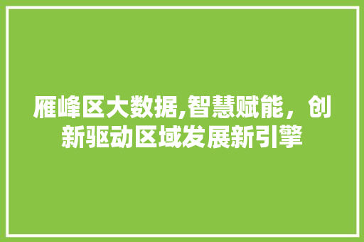 雁峰区大数据,智慧赋能，创新驱动区域发展新引擎