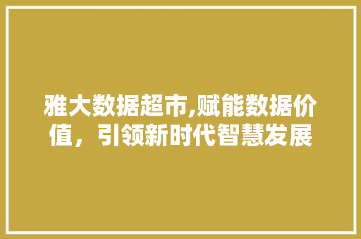 雅大数据超市,赋能数据价值，引领新时代智慧发展