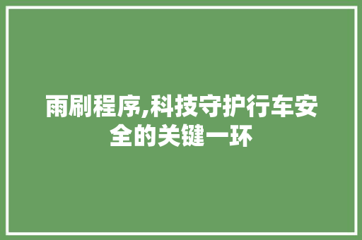 雨刷程序,科技守护行车安全的关键一环