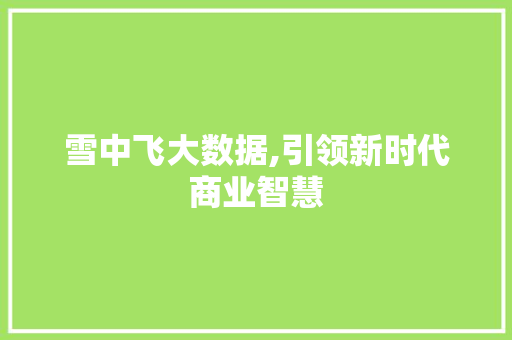 雪中飞大数据,引领新时代商业智慧