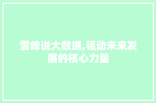 雪峰说大数据,驱动未来发展的核心力量