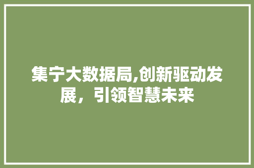集宁大数据局,创新驱动发展，引领智慧未来