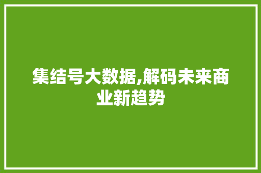集结号大数据,解码未来商业新趋势