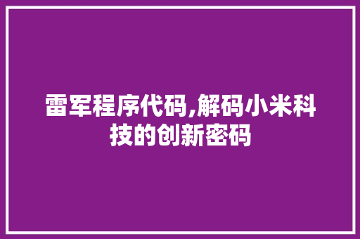 雷军程序代码,解码小米科技的创新密码