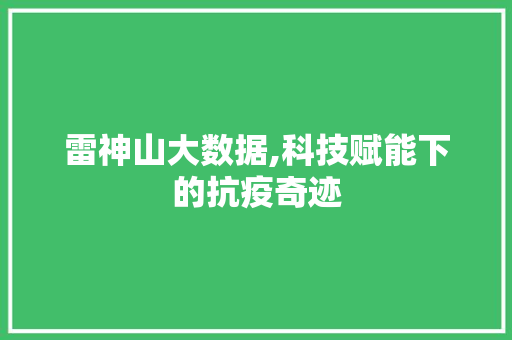 雷神山大数据,科技赋能下的抗疫奇迹