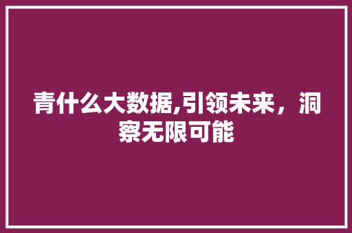青什么大数据,引领未来，洞察无限可能