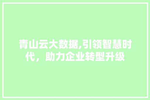 青山云大数据,引领智慧时代，助力企业转型升级