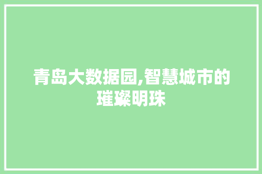 青岛大数据园,智慧城市的璀璨明珠