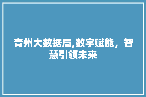 青州大数据局,数字赋能，智慧引领未来