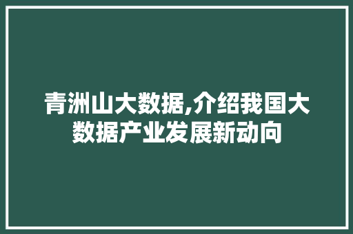 青洲山大数据,介绍我国大数据产业发展新动向