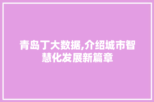 青岛丁大数据,介绍城市智慧化发展新篇章
