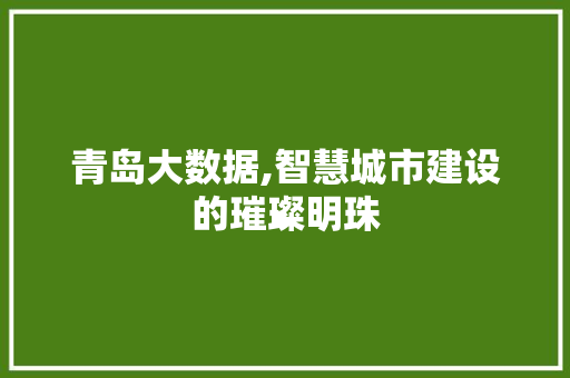 青岛大数据,智慧城市建设的璀璨明珠