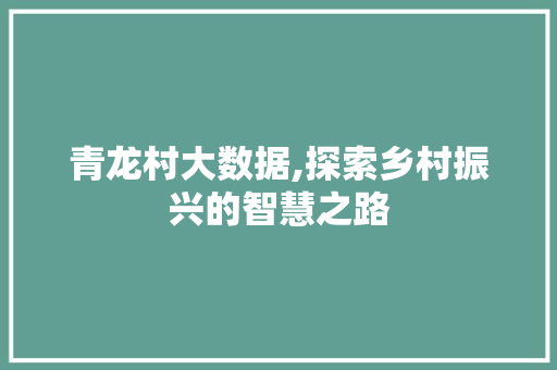 青龙村大数据,探索乡村振兴的智慧之路