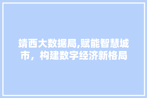 靖西大数据局,赋能智慧城市，构建数字经济新格局