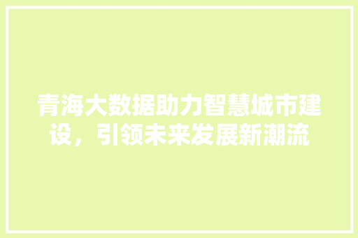 青海大数据助力智慧城市建设，引领未来发展新潮流