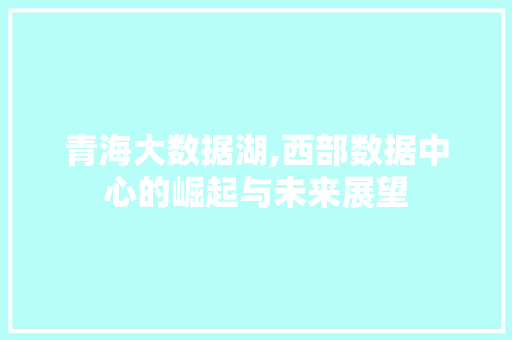 青海大数据湖,西部数据中心的崛起与未来展望