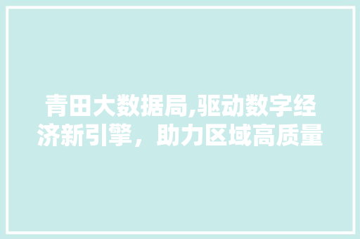 青田大数据局,驱动数字经济新引擎，助力区域高质量发展