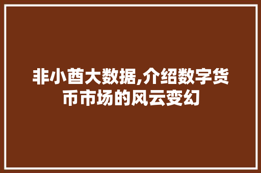 非小酋大数据,介绍数字货币市场的风云变幻