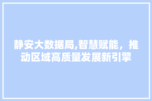静安大数据局,智慧赋能，推动区域高质量发展新引擎