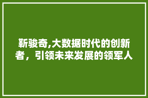 靳骏奇,大数据时代的创新者，引领未来发展的领军人物
