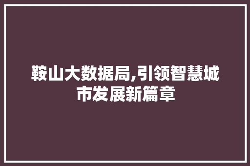 鞍山大数据局,引领智慧城市发展新篇章
