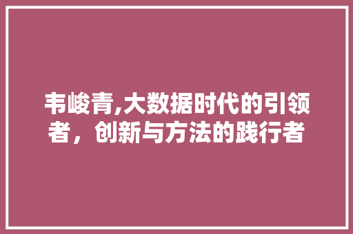 韦峻青,大数据时代的引领者，创新与方法的践行者