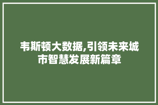 韦斯顿大数据,引领未来城市智慧发展新篇章