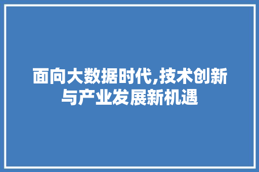 面向大数据时代,技术创新与产业发展新机遇
