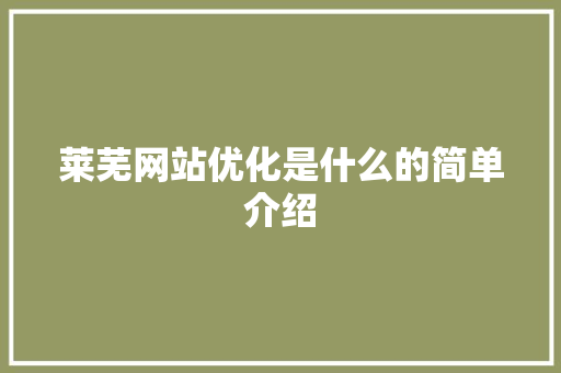莱芜网站优化是什么的简单介绍 莱芜网站优化是什么的简单介绍 SEO关键词