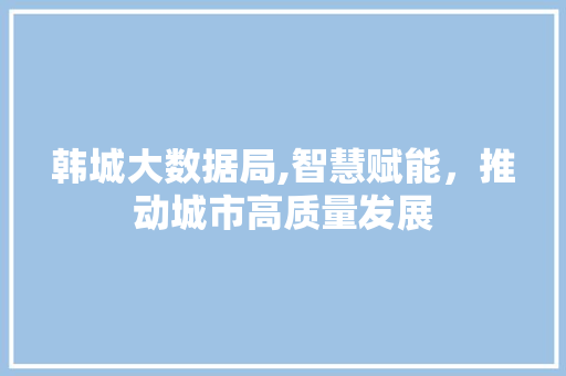 韩城大数据局,智慧赋能，推动城市高质量发展