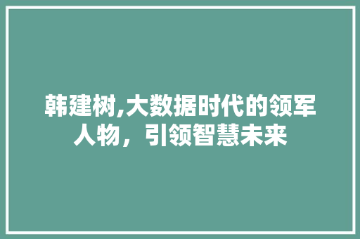 韩建树,大数据时代的领军人物，引领智慧未来