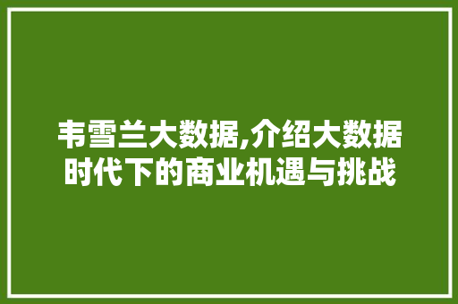 韦雪兰大数据,介绍大数据时代下的商业机遇与挑战