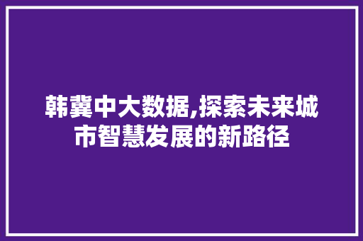 韩冀中大数据,探索未来城市智慧发展的新路径