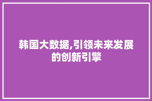韩国大数据,引领未来发展的创新引擎
