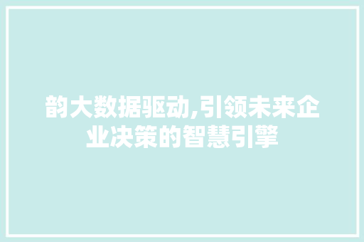 韵大数据驱动,引领未来企业决策的智慧引擎